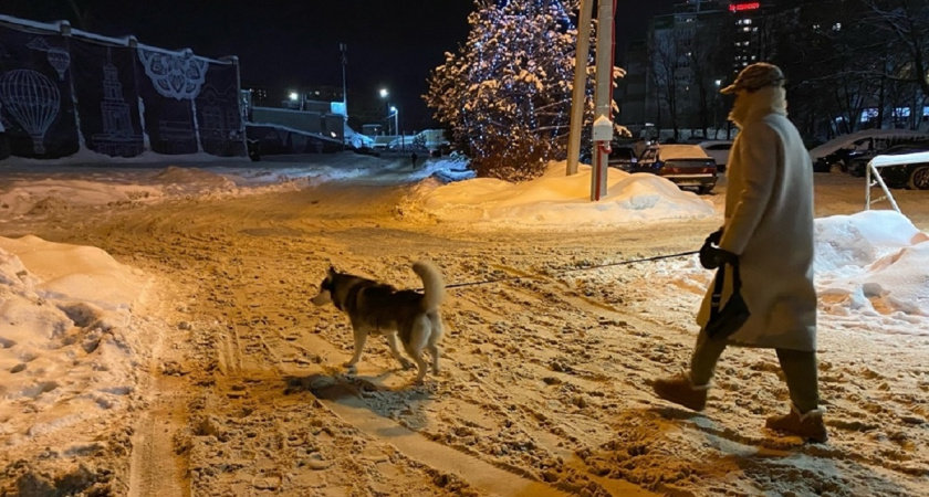 «Я научилась просто, мудро жить»: почему Ахматова учит нас не бояться одиночества