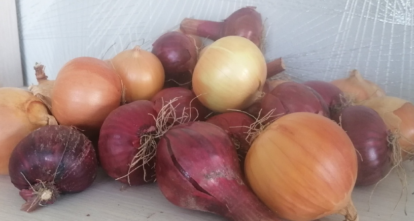 Зачем я кладу лук в морозилку: неожиданный способ избежать слёз при нарезке