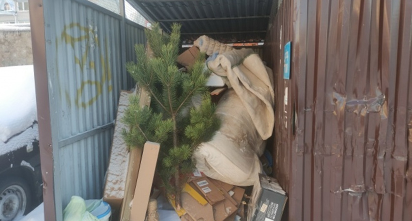 Ежедневно во Владимире возникают проблемы с уборкой почти сони мусорных площадок 