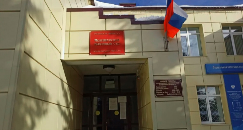 Вместо заботы о больном ребенке меленковец почти год проведет в колонии 