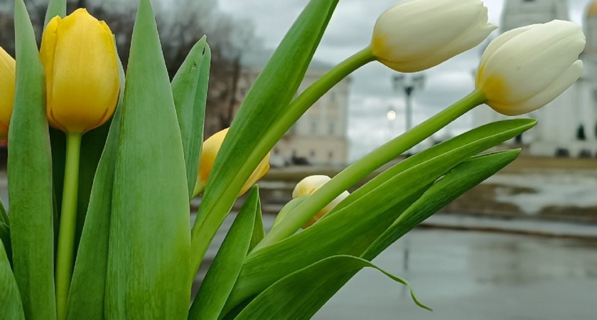 Сугробы по колено и потопы: март 2026 принесет в Центральную Россию и другие регионы "температурные качели"