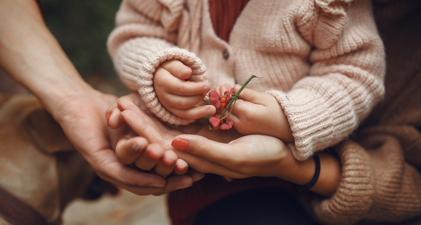 Более 4 000 семей Владимирской области получили новые виды поддержки