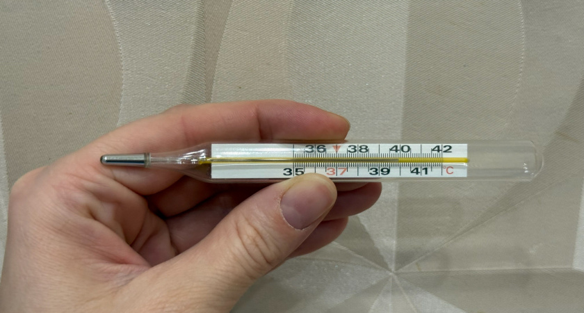 Во Владимирской области заболеваемость ОРВИ упала на 21%