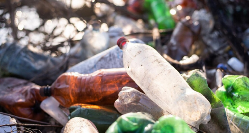 Мусорный полигон в Камешковском районе заставили получить разрешение экологов