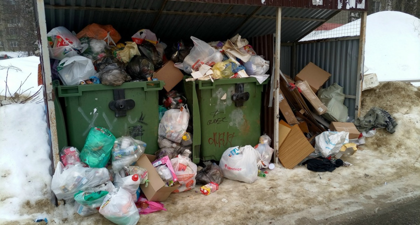 Регоператору дали неделю на ликвидацию мусорных завалов во Владимире 