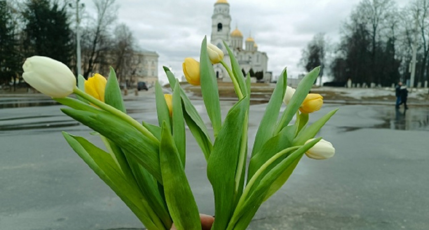 Жительницы Владимира определились с подарками к 8 Марта