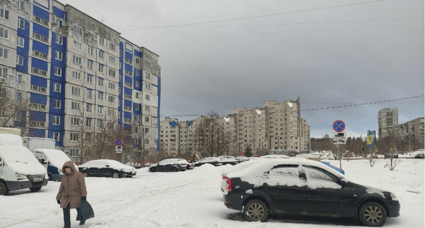 Аномальные холода отменяются? Синоптики вновь изменили прогноз для Центральной России на праздничные выходные