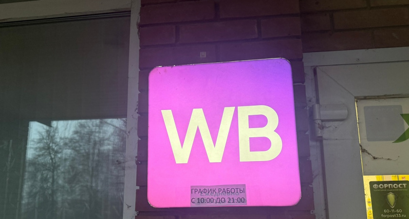 6 нереально классных вещей с Вайлдберриз, которые сразу добавила в корзину: красивые и полезные находки для дома