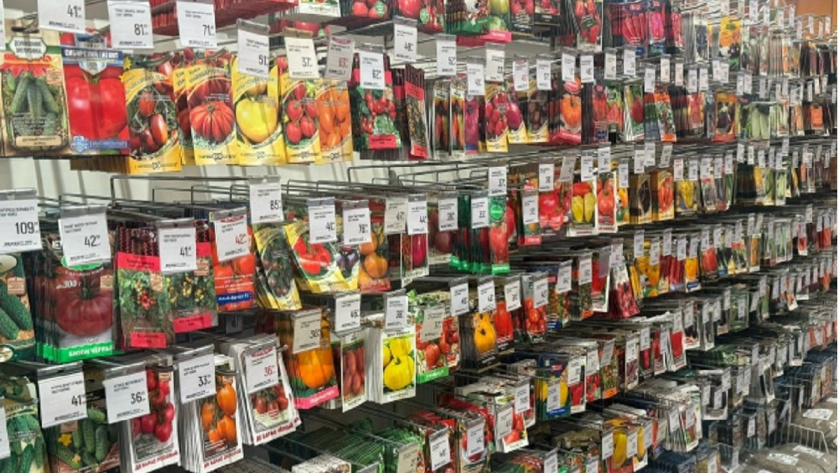 Фото из архива редакции