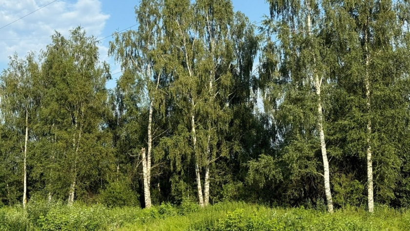  архив редакции