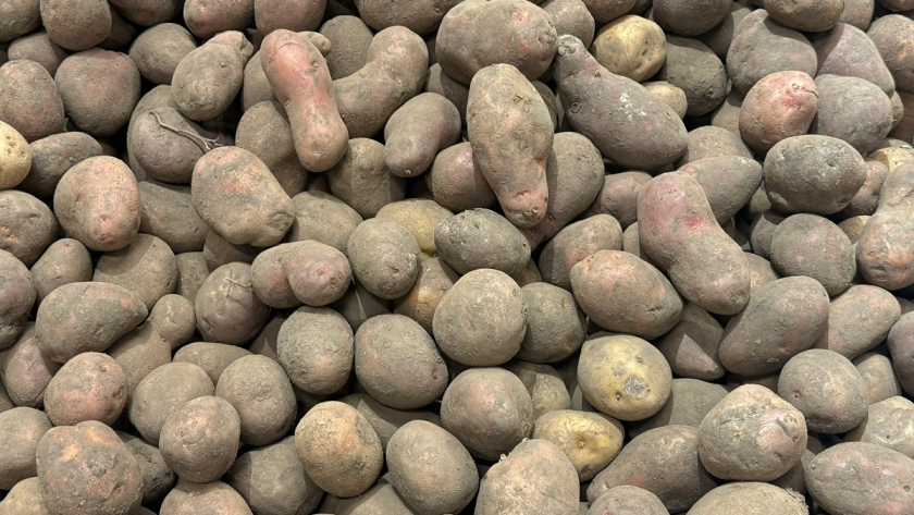 Фото из архива редакции