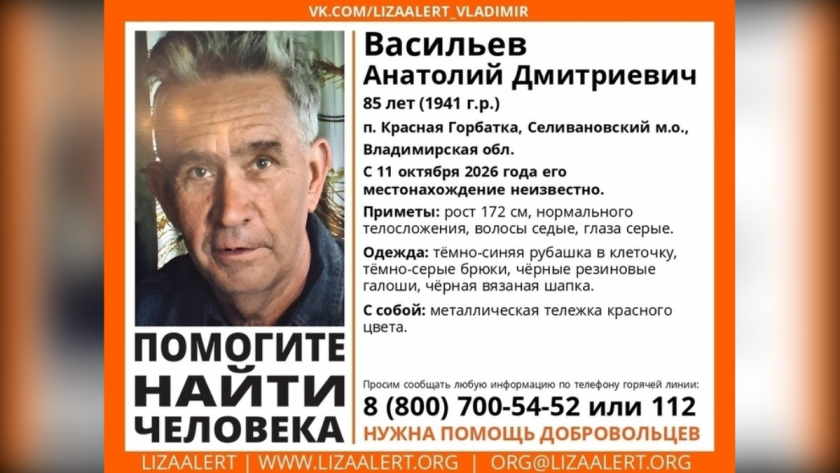 ПСО Лиза Алерт
