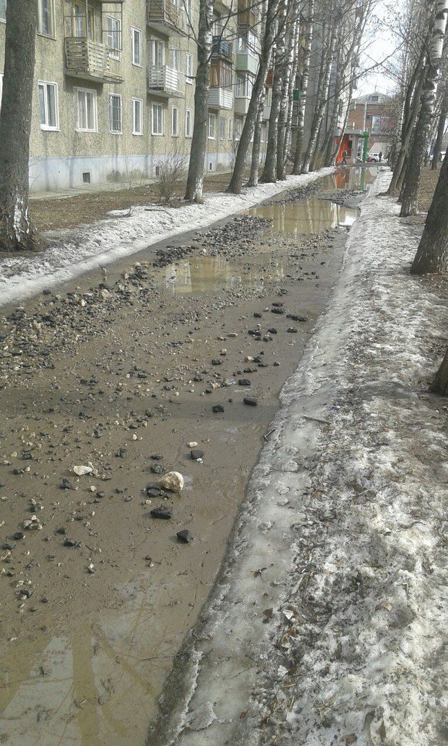 Во Владимире асфальт стремительно тает вместе со снегом