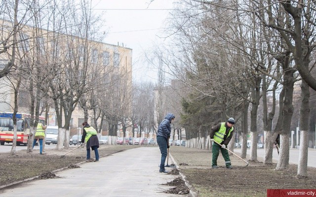 Владимирский субботник длиной в полгода: мусор с осени до сих пор не убрали