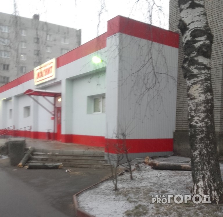 Возле "Магнита" на Балакирева мужчину придавило упавшим деревом