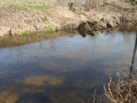 Одна из рек во Владимирской области покрылась масляными пятнами
