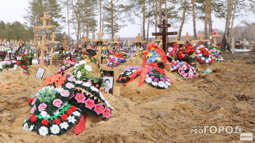 В России появилась электронная карта кладбищ