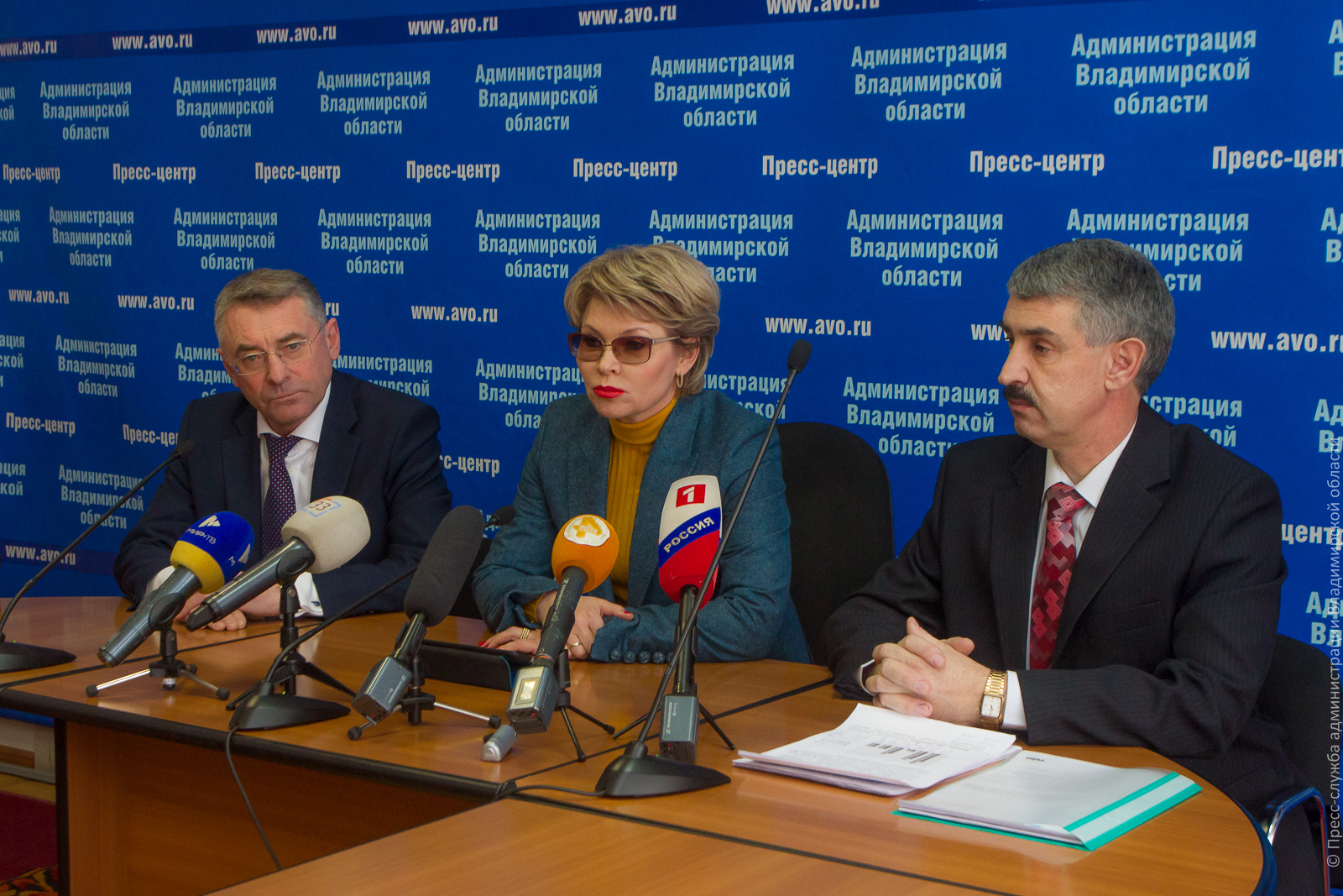 Вице-губернатора Владимирской области Елену Мазанько просят выпустить под залог