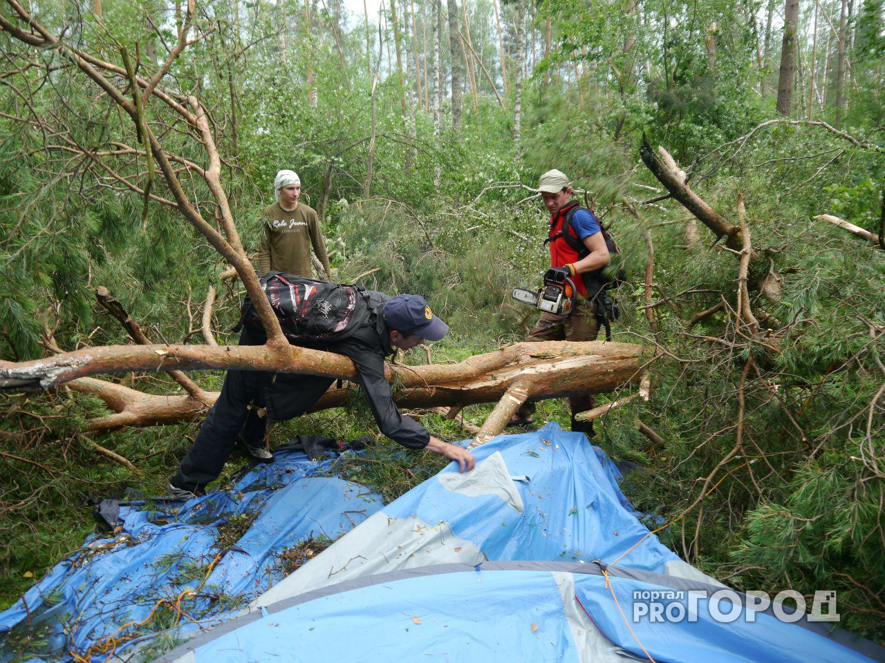 В Судогде мужчина пошел в лес за дровами и "попал" на 5 млн рублей