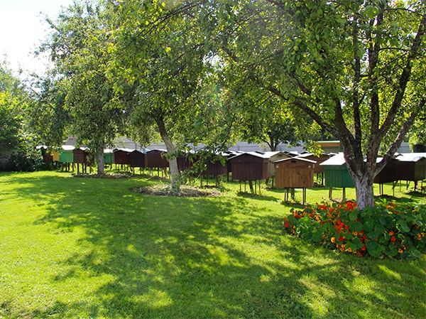 Эксперты конкурса на самую красивую деревню побывали в Собинском районе