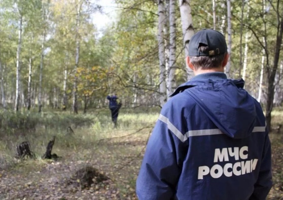 74-летний грибник две недели бродил по лесу во Владимирской области
