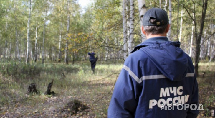 В Юрьев-Польском грибник уже 10 дней бродит по лесу