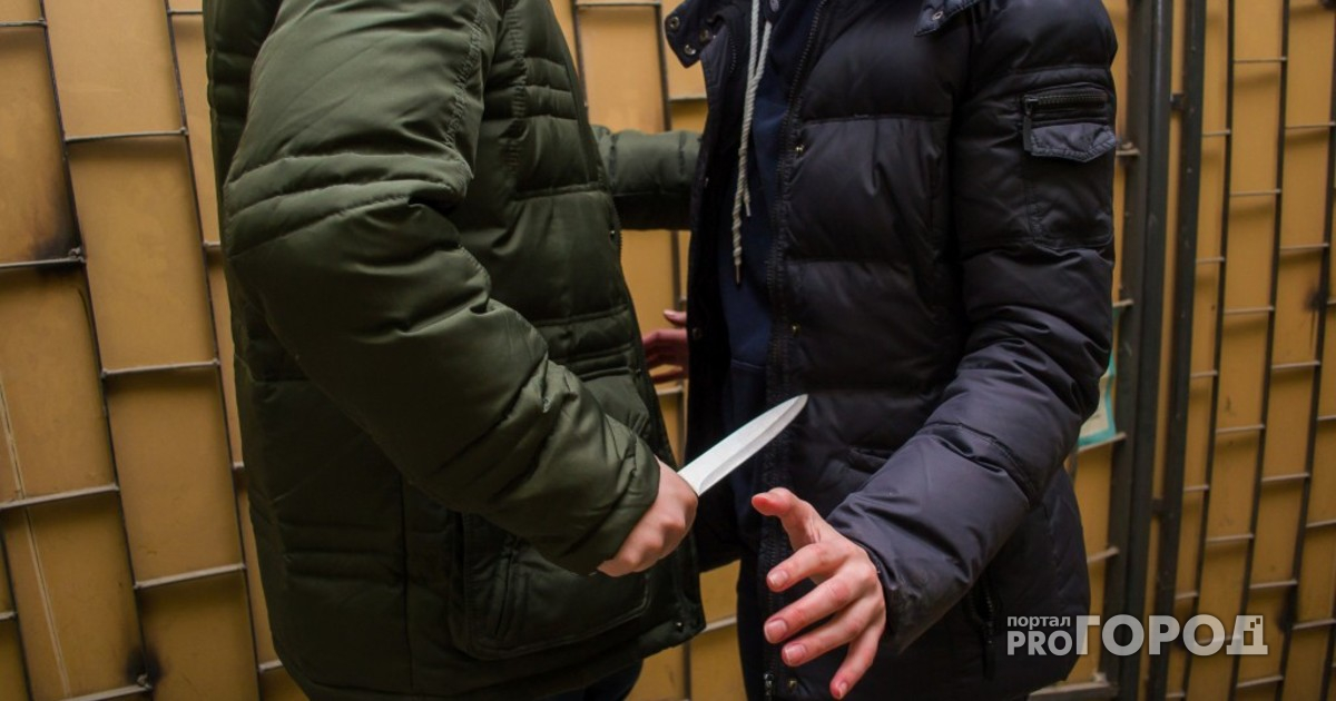 Житель Гусь-Хрустального отомстил бывшему сокамернику, убив его