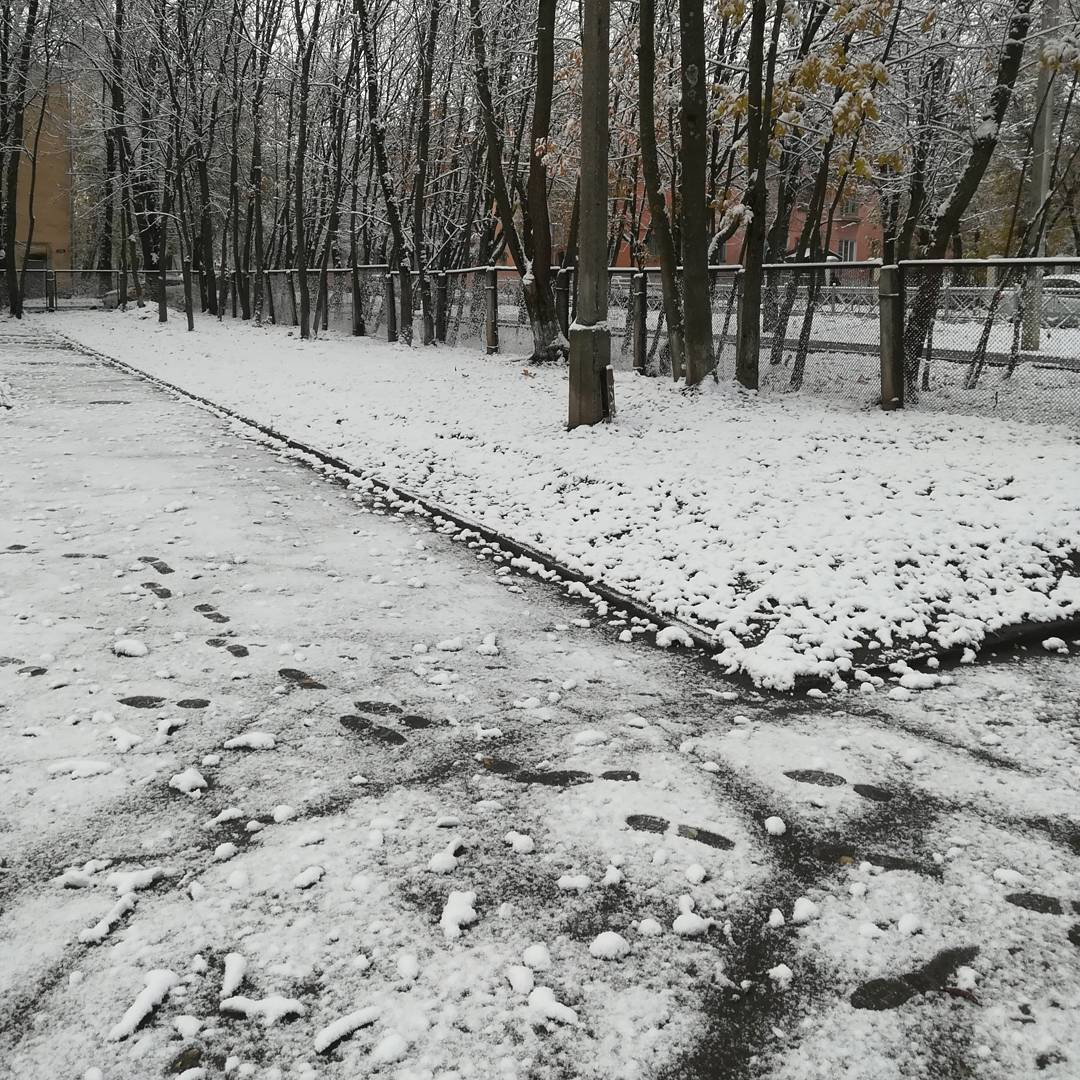 Владимирцы делятся последствиями ночного снегопада в соцсетях