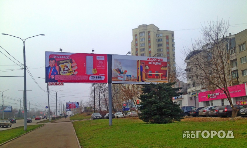 Владимирцы требуют «расправы» над рекламщиками, подпилившими ель