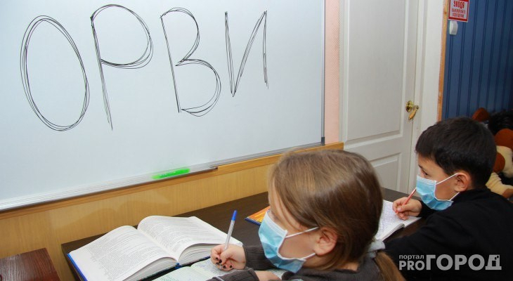 Из-за эпидемии ОРВИ во Владимирской области закрылись несколько школ
