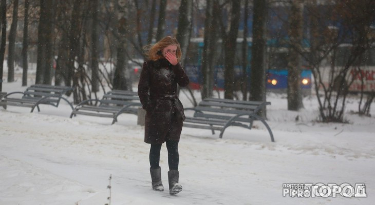 В середине недели во Владимир вернется снег