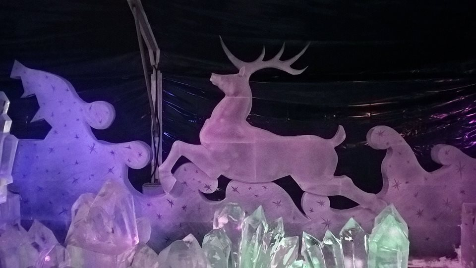 Владимирский скульптор Илья Шанин удивил питерцев ледяными оленями (фото)