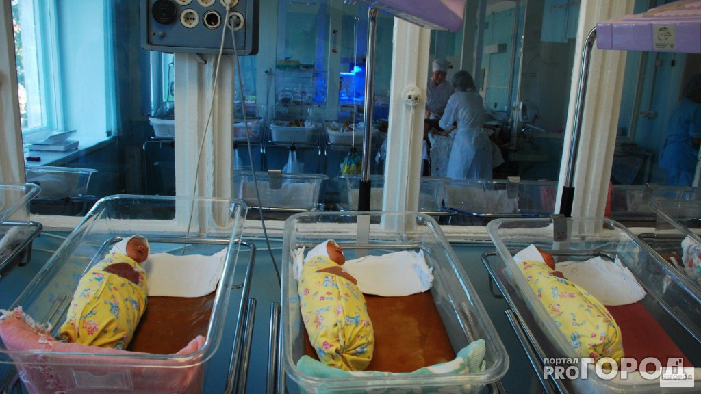 В каникулы на свет во владимирских роддомах появились 2,5 сотни младенцев