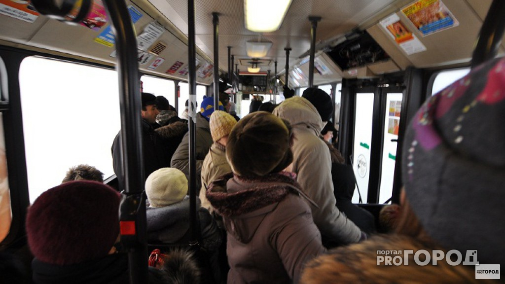 Литературный автобус прокатится по Владимиру