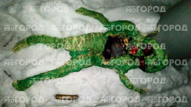 В Гусь-Хрустальном обнаружили растерзанное тело "зеленого человечка"