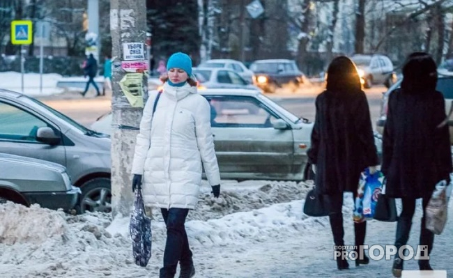 Первые дни февраля удивят владимирцев заморозками и дождями