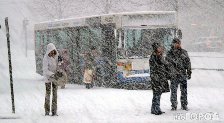 Владимирцев ожидают очень снежные выходные