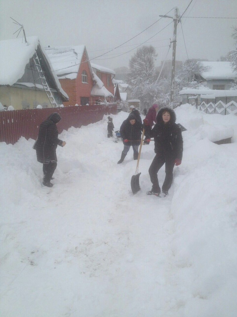 Утопающие в снегу владимирцы провели вынужденный флешмоб с лопатами
