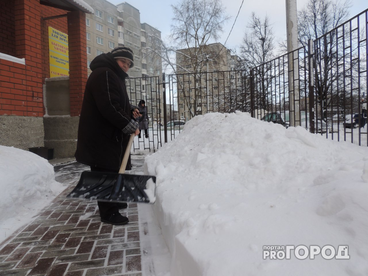 Владимирский дворник - об аномальном снегопаде, цветах и хамстве