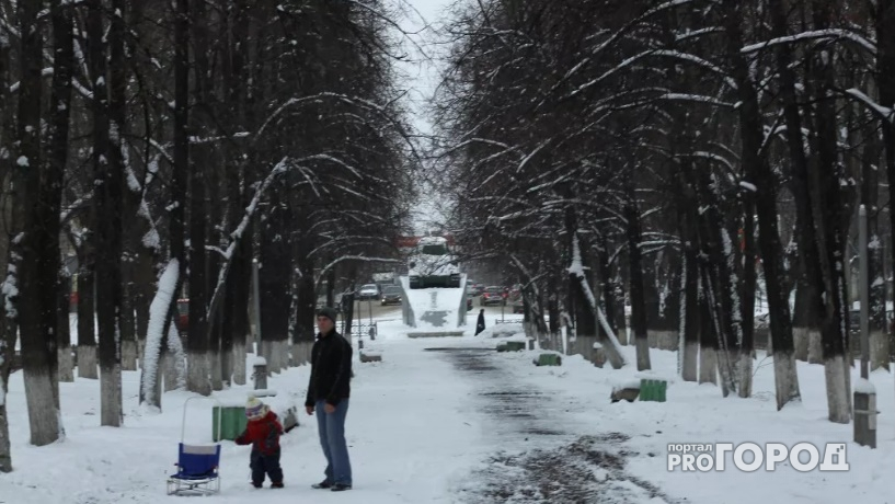 В выходные во Владимире на смену солнцу вернется снег