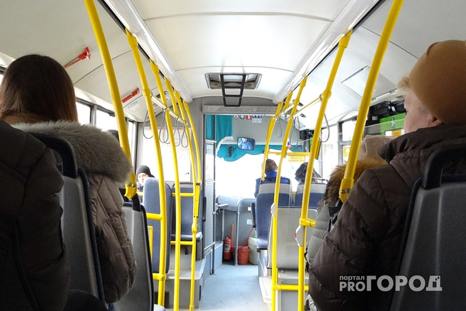 Во Владимире нетрезвого пассажира выбросили из автобуса в сугроб