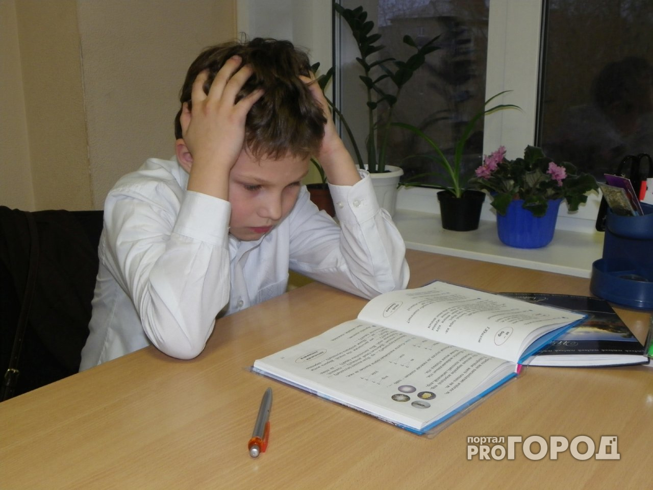 Горожанка: «Наших детей заставляют учиться в праздничный день!»