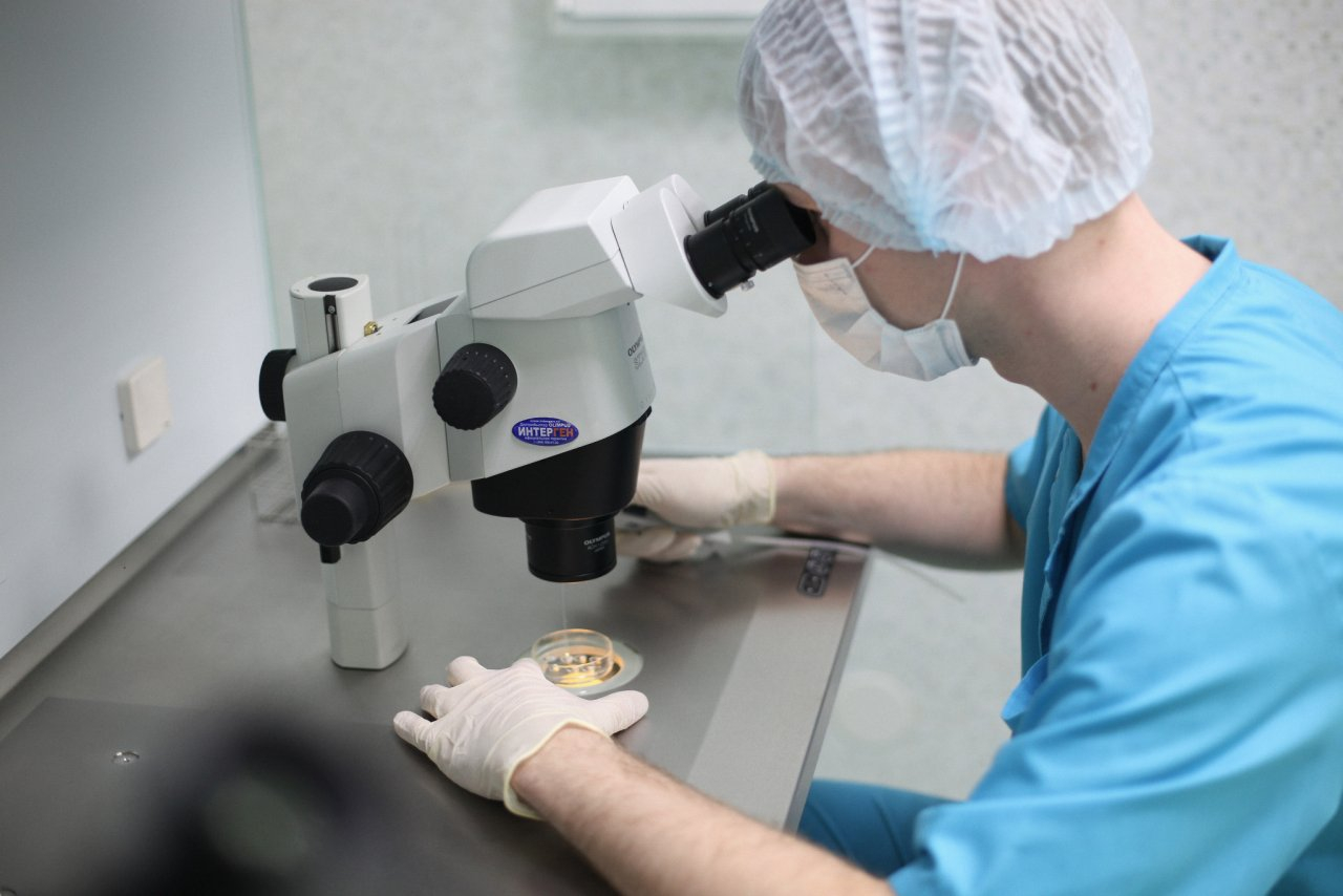 Жительницы Владимира получат бесплатное лечение бесплодия по квоте в клинике Европейского уровня