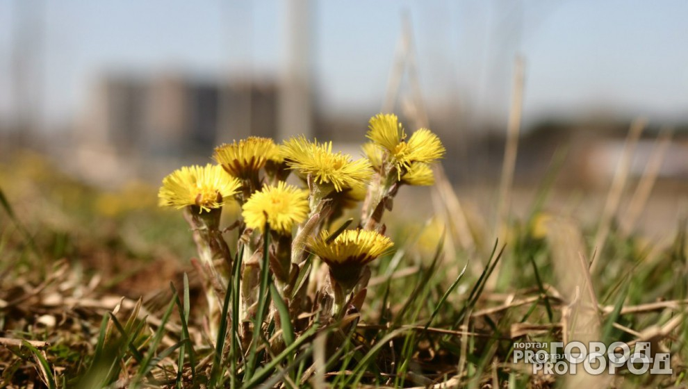 Во Владимире наконец-то установится теплая погода