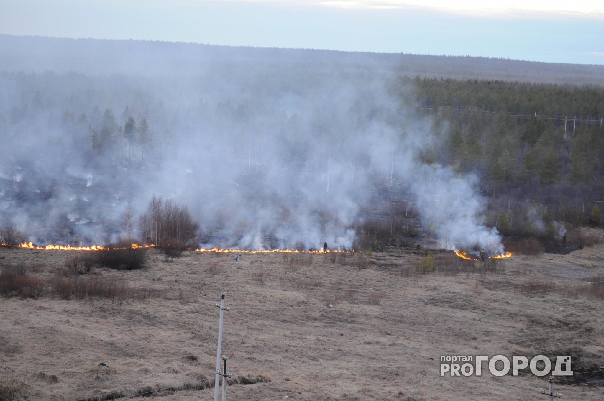 Во Владимирской области неизвестные начали поджигать сухую траву  (видео)
