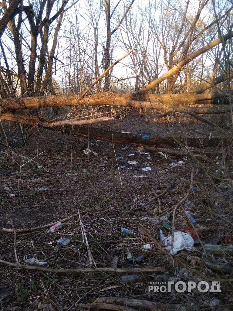 Зеленая зона Точмаша утопает в мусоре
