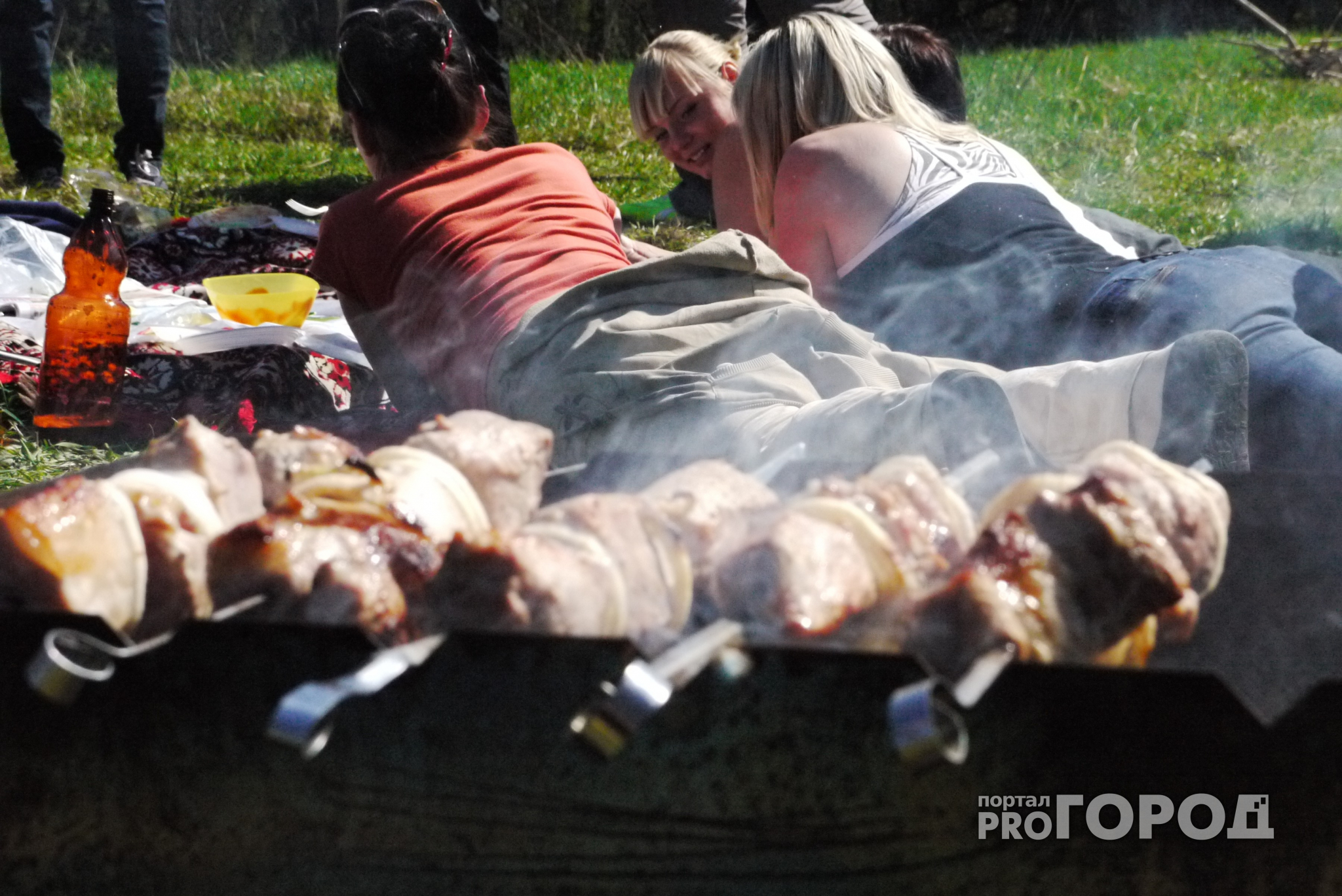 Эксперты рассказали, как выбрать шашлык из магазина