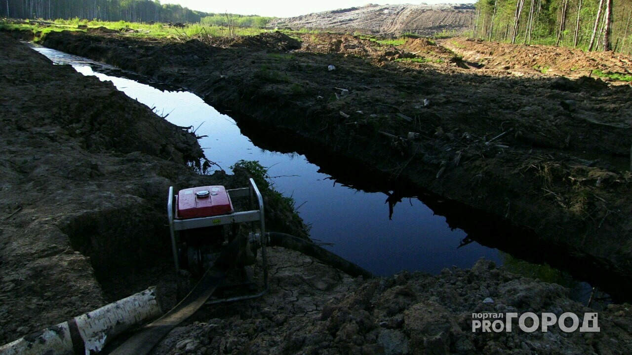 В Александровском районе отходы со свалки сливают в ручей