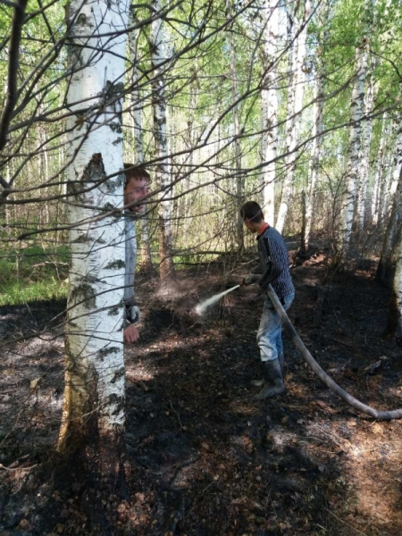 Во Владимирской области потушили лесной пожар