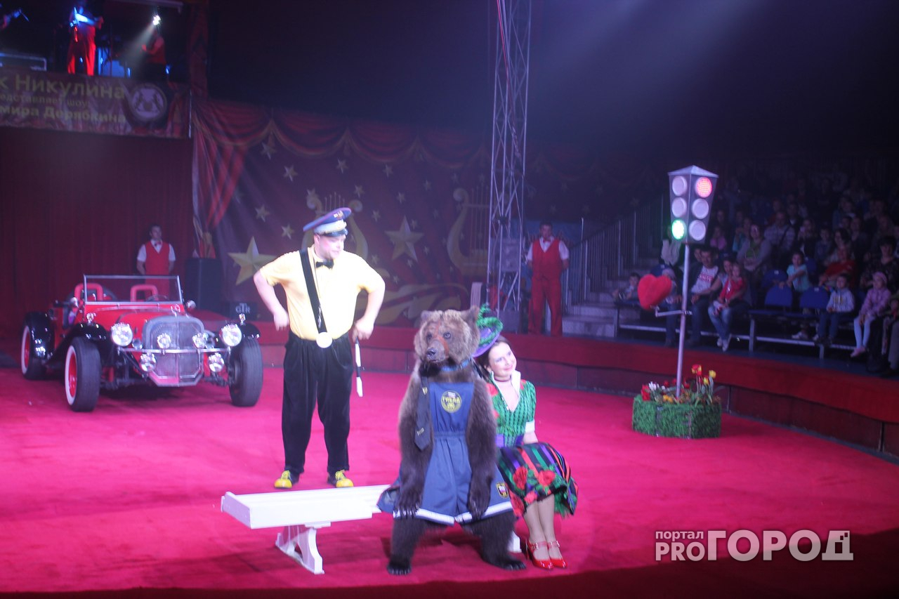 Цирк Никулина во Владимире